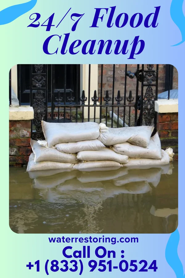 24/7 Flood Cleanup in Redwater, MS