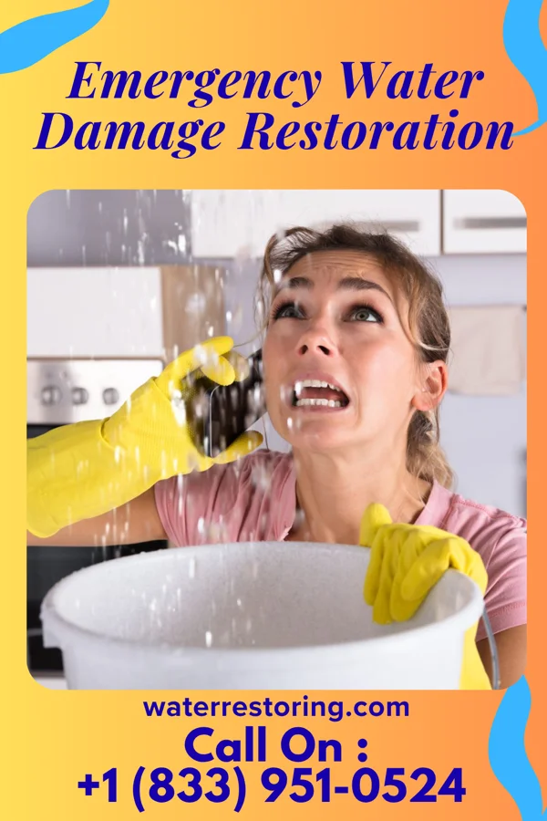 Emergency Water Damage Restoration in Redwater, MS