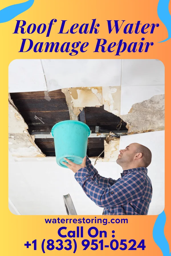 Roof Leak Water Damage Repair in Redwater, MS