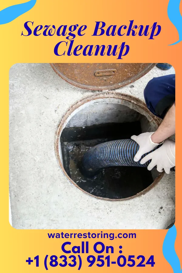 Sewage Backup Cleanup in Redwater, MS