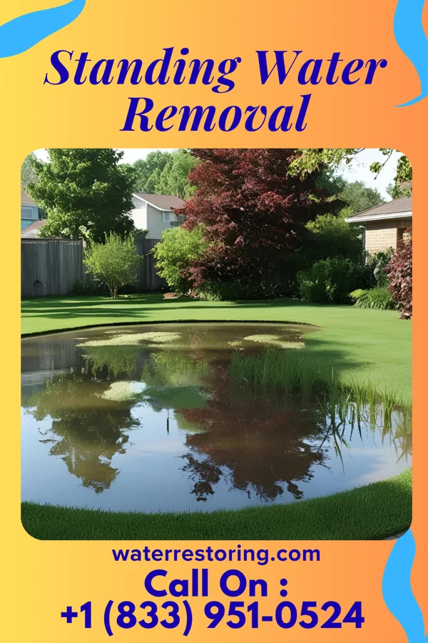 Standing Water Removal in Redwater, MS